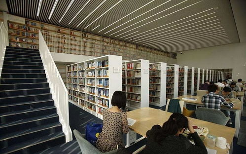 看完這些天津人的好消息，長(zhǎng)假回來(lái)也開(kāi)心了——聚焦信息技術(shù)咨詢(xún)服務(wù)新機(jī)遇